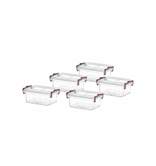 Set 5 contenitori in plastica con coperchio - 0,3 l. / cm. 12,5 x 8,5 x h. cm. 5